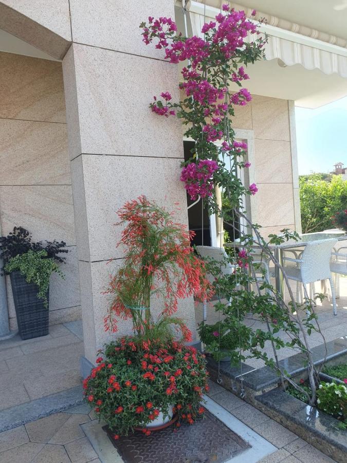 Villa Maric บาชกาโวดา ภายนอก รูปภาพ