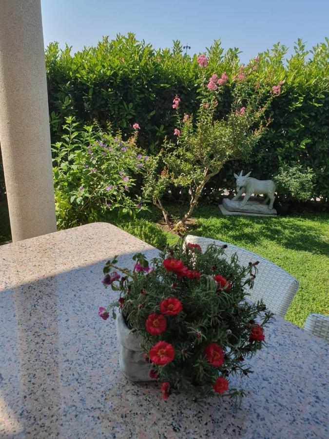 Villa Maric บาชกาโวดา ภายนอก รูปภาพ